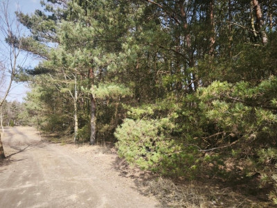 Na sprzedaż działka budowlana - Karczewko -
wielkopolskie Zdjęcie nr 6