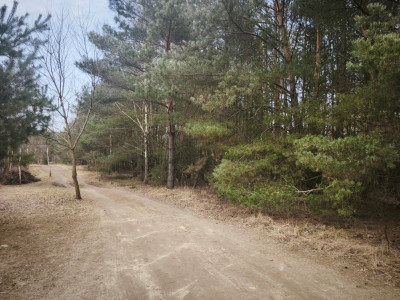 Na sprzedaż działka budowlana - Karczewko -
wielkopolskie Zdjęcie nr 7