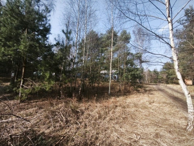 Na sprzedaż działka budowlana - Karczewo -
wielkopolskie Zdjęcie nr 12