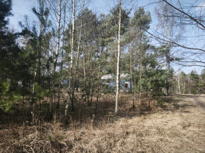 Na sprzedaż działka budowlana - Karczewo -
wielkopolskie Zdjęcie nr 13