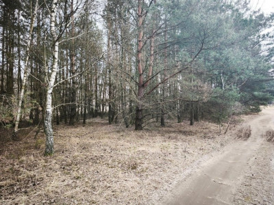 Na sprzedaż działka budowlana - Karczewo -
wielkopolskie Zdjęcie nr 14