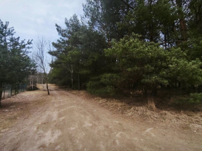 Na sprzedaż działka budowlana - Karczewo -
wielkopolskie Zdjęcie nr 7