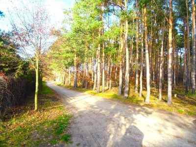 Na sprzedaż działka budowlana - Borówiec - wielkopolskie