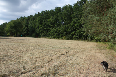 Działka budowlana w Werchracie na Roztoczu -
podkarpackie Zdjęcie nr 5