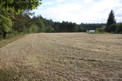 Działka budowlana w Werchracie na Roztoczu -
podkarpackie Zdjęcie nr 2