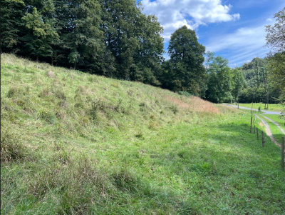 Działka z prawem zabudowy Beskid Śląski -
śląskie Zdjęcie nr 5