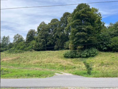 Działka z prawem zabudowy Beskid Śląski -
śląskie Zdjęcie nr 3