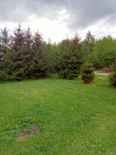 Sprzedam dzialke obok Polanicy-Zdroju-SUDETY-Gory Stolowe - Dolnośląskie