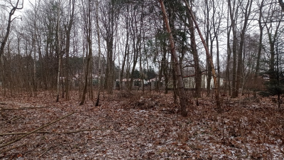 Inspirujący teren w Łodzi ~5Ha, świetnie skomunikowany. -
Łódzkie Zdjęcie nr 4