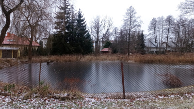 Inspirujący teren w Łodzi ~5Ha, świetnie skomunikowany. -
Łódzkie Zdjęcie nr 6