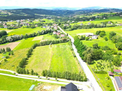 Kompleks 3 działek budowlanych na sprzedaż - Mogilno gm Korzenna  Mega Oferta - Mogilno  -
małopolskie Zdjęcie nr 9