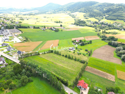 Kompleks 3 działek budowlanych na sprzedaż - Mogilno gm Korzenna  Mega Oferta - Mogilno  -
małopolskie Zdjęcie nr 12