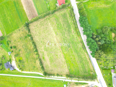 Kompleks 3 działek budowlanych na sprzedaż - Mogilno gm Korzenna  Mega Oferta - Mogilno  -
małopolskie Zdjęcie nr 4