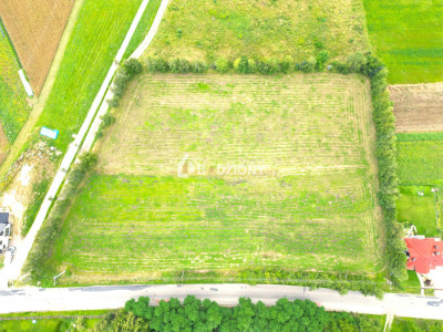 Kompleks 3 działek budowlanych na sprzedaż - Mogilno gm Korzenna  Mega Oferta - Mogilno  -
małopolskie Zdjęcie nr 5