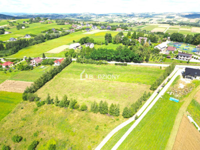 Kompleks 3 działek budowlanych na sprzedaż - Mogilno gm Korzenna  Mega Oferta - Mogilno  -
małopolskie Zdjęcie nr 7