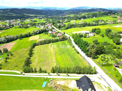 Kompleks 3 działek budowlanych na sprzedaż - Mogilno gm Korzenna  Mega Oferta - Mogilno  -
małopolskie Zdjęcie nr 8