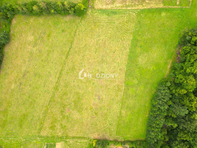 Działka z potencjałem w zielonym zakątku - Witowice Dolne - Witowice Dolne  -
małopolskie Zdjęcie nr 13