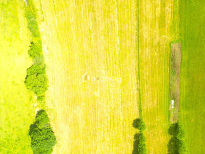 Malownicza działka w Mochnaczce Wyżnej - cisza widoki i potencjał - Mochnaczka Wyżna  -
małopolskie Zdjęcie nr 13