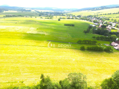 Malownicza działka w Mochnaczce Wyżnej - cisza widoki i potencjał - Mochnaczka Wyżna  -
małopolskie Zdjęcie nr 3