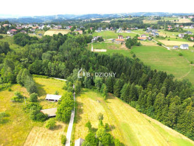 Tu zbudujesz swój dom Urokliwa działka w Mystkowie gm Kamionka Wielka - Mystków  -
małopolskie Zdjęcie nr 3