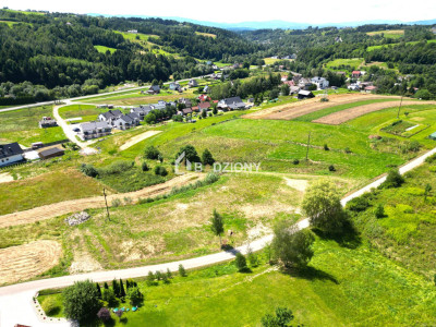 Paszyn - działka z przyszłością - Paszyn  -
małopolskie Zdjęcie nr 8