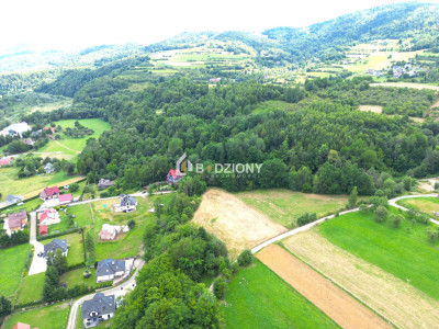 Atrakcyjna działka o dużej powierzchni - inwestuj w przyszłość  Kamienica - Kamienica  -
małopolskie Zdjęcie nr 11