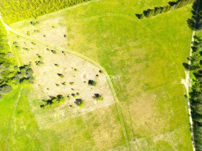 Działka przy szlaku w Tyliczu - idealna pod dom lub domki letniskowe  Wydana WZ - Tylicz  -
małopolskie Zdjęcie nr 16