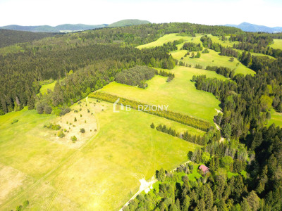 Działka przy szlaku w Tyliczu - idealna pod dom lub domki letniskowe  Wydana WZ - Tylicz  -
małopolskie Zdjęcie nr 8