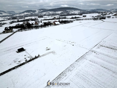 Atrakcyjna działka budowlana Owieczka 1187a - 30x38m - prąd studnia na działce - Owieczka  -
małopolskie Zdjęcie nr 5
