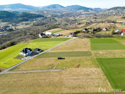 Atrakcyjna działka budowlana Owieczka 1187a - 30x38m - prąd studnia na działce - Owieczka  -
małopolskie Zdjęcie nr 3