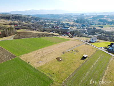 Atrakcyjna działka budowlana Owieczka 1187a - 30x38m - prąd studnia na działce - Owieczka  -
małopolskie Zdjęcie nr 7