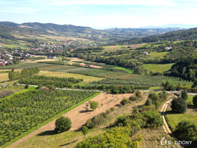 Działka rolna z możliwością przekształcenia w budowlaną - miejscowość Zagorzyn - Zagorzyn  -
małopolskie Zdjęcie nr 9