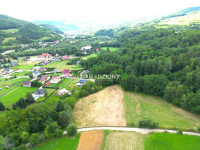 Atrakcyjna działka o dużej powierzchni - inwestuj w przyszłość  Kamienica - Kamienica  -
małopolskie Zdjęcie nr 12