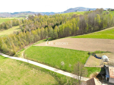 Działka z potencjałem w spokojnej okolicy  - Barcice Górne ul Kliny - nowosądecki  -
małopolskie Zdjęcie nr 7