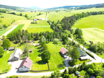 Unikatowa działka na sprzedaż w miejscowości Piorunka gm Krynica-Zdrój - Piorunka  -
małopolskie Zdjęcie nr 3