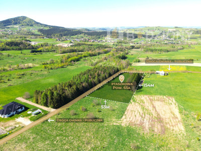 Teren inwestycyjny z dużym potencjałem - Ptaszkowa gm Grybów - Ptaszkowa  - małopolskie