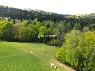 Działka budowlana w Barcicach Górnych z gwarancją ciszy i spokoju - nowosądecki  -
małopolskie Zdjęcie nr 7