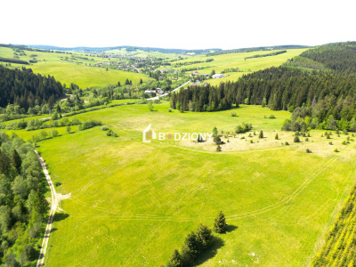 Działka przy szlaku w Tyliczu - idealna pod dom lub domki letniskowe  Wydana WZ - Tylicz  -
małopolskie Zdjęcie nr 3