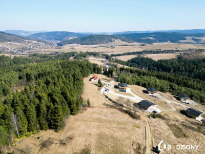 Inwestycyjna działka w Bereście z warunkami zabudowy na 4 domy - Berest  -
małopolskie Zdjęcie nr 5