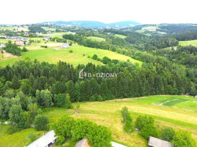 Atrakcyjna działka w Mystkowie - gotowa pod budowę - Mystków  -
małopolskie Zdjęcie nr 2