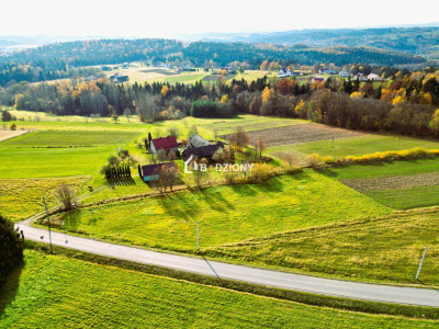 OKAZJA Urokliwa działka w miejscowości Kołkówka gm Rzepiennik Strzyżewski - Kołkówka  -
małopolskie Zdjęcie nr 10