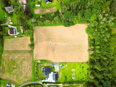 OKAZJA działka budowlana w miejscowości Golanka gm Gromnik pow 107 ha - Golanka  -
małopolskie Zdjęcie nr 10