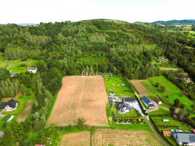 OKAZJA działka budowlana w miejscowości Golanka gm Gromnik pow 107 ha - Golanka  -
małopolskie Zdjęcie nr 14