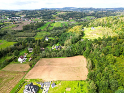 OKAZJA działka budowlana w miejscowości Golanka gm Gromnik pow 107 ha - Golanka  -
małopolskie Zdjęcie nr 2