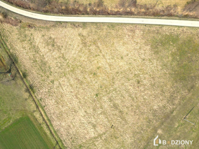 Działka pod dom  Krużlowa Niżna  cisza i widoki  - Krużlowa Niżna  -
małopolskie Zdjęcie nr 13