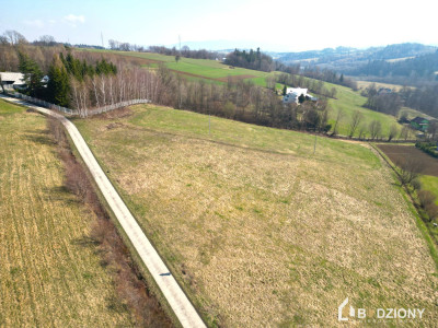 Działka pod dom  Krużlowa Niżna  cisza i widoki  - Krużlowa Niżna  -
małopolskie Zdjęcie nr 4