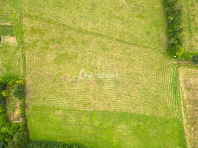 Działka z potencjałem w zielonym zakątku - Witowice Dolne - Witowice Dolne  -
małopolskie Zdjęcie nr 12