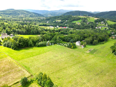 Działka z potencjałem w zielonym zakątku - Witowice Dolne - Witowice Dolne  -
małopolskie Zdjęcie nr 2
