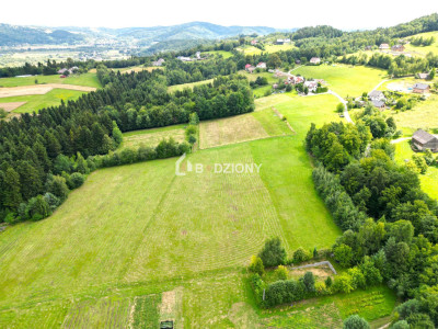 Działka z potencjałem w zielonym zakątku - Witowice Dolne - Witowice Dolne  -
małopolskie Zdjęcie nr 6