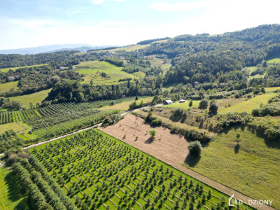 Działka rolna z możliwością przekształcenia w budowlaną - miejscowość Zagorzyn - Zagorzyn  -
małopolskie Zdjęcie nr 7